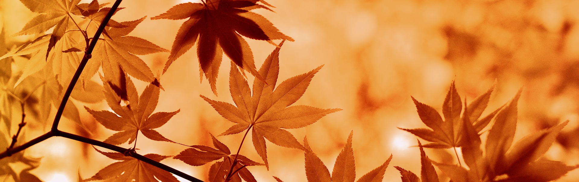 雷火竞技官网